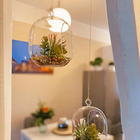 Ferienapartment Harzzeit *